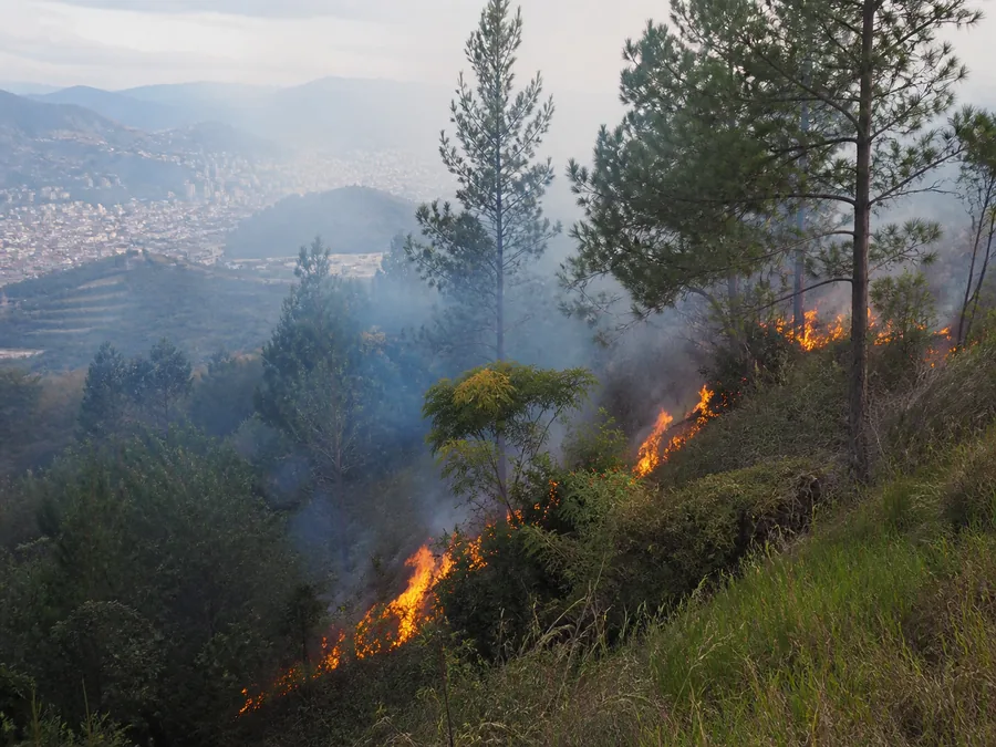 Incendio de vegetación en una ladera boscosa, lejos de viviendas